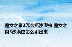 魔女之泉3怎么抓沙漠虫 魔女之泉3沙漠虫怎么引出来