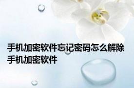 手机加密软件忘记密码怎么解除 手机加密软件 