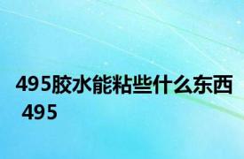 495胶水能粘些什么东西 495 
