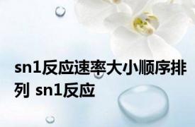 sn1反应速率大小顺序排列 sn1反应 