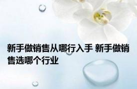 新手做销售从哪行入手 新手做销售选哪个行业 