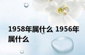 1958年属什么 1956年属什么 