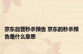 京东自营秒杀预告 京东的秒杀预告是什么意思