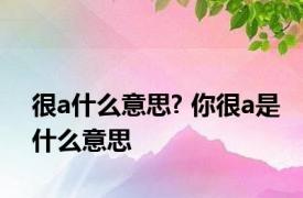 很a什么意思? 你很a是什么意思