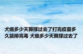 犬瘟多少天算撑过去了打完疫苗多久能排完毒 犬瘟多少天算撑过去了