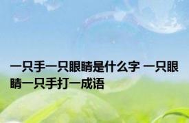 一只手一只眼睛是什么字 一只眼睛一只手打一成语