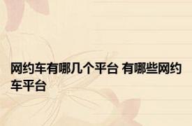 网约车有哪几个平台 有哪些网约车平台 