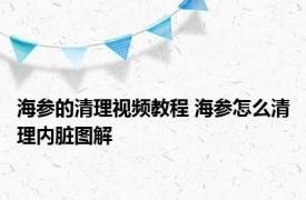 海参的清理视频教程 海参怎么清理内脏图解 