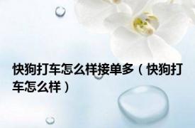 快狗打车怎么样接单多（快狗打车怎么样）