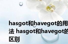 hasgot和havegot的用法 hasgot和havegot的区别