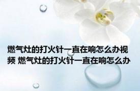 燃气灶的打火针一直在响怎么办视频 燃气灶的打火针一直在响怎么办