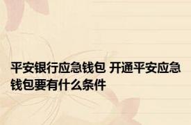 平安银行应急钱包 开通平安应急钱包要有什么条件