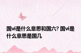 国vi是什么意思和国六? 国vi是什么意思是国几