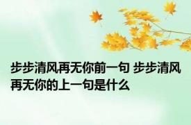 步步清风再无你前一句 步步清风再无你的上一句是什么