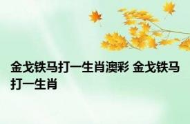 金戈铁马打一生肖澳彩 金戈铁马打一生肖 