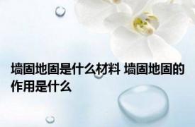 墙固地固是什么材料 墙固地固的作用是什么