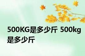 500KG是多少斤 500kg是多少斤