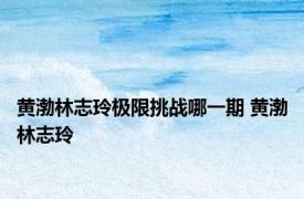 黄渤林志玲极限挑战哪一期 黄渤林志玲 