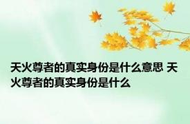 天火尊者的真实身份是什么意思 天火尊者的真实身份是什么