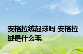 安格拉绒起球吗 安格拉绒是什么毛
