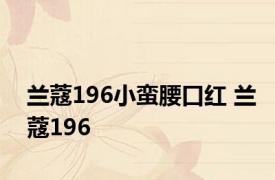 兰蔻196小蛮腰口红 兰蔻196 