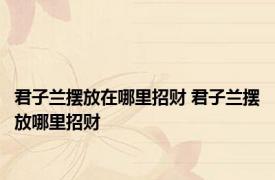 君子兰摆放在哪里招财 君子兰摆放哪里招财 