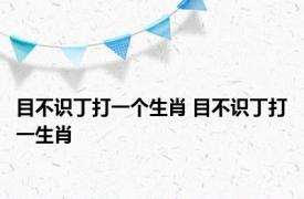 目不识丁打一个生肖 目不识丁打一生肖 