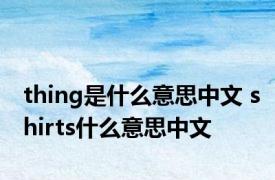 thing是什么意思中文 shirts什么意思中文