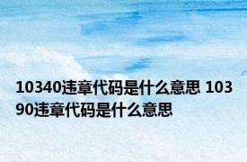 10340违章代码是什么意思 10390违章代码是什么意思