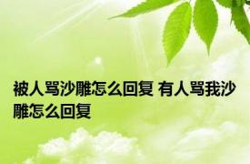 被人骂沙雕怎么回复 有人骂我沙雕怎么回复 