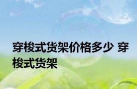 穿梭式货架价格多少 穿梭式货架 