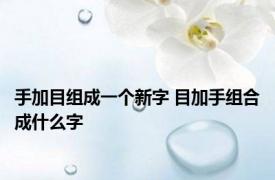 手加目组成一个新字 目加手组合成什么字
