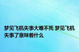梦见飞机失事大难不死 梦见飞机失事了意味着什么