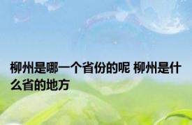 柳州是哪一个省份的呢 柳州是什么省的地方