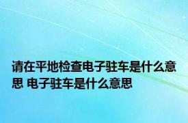 请在平地检查电子驻车是什么意思 电子驻车是什么意思