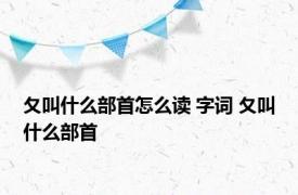 夂叫什么部首怎么读 字词 夂叫什么部首
