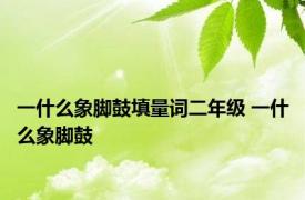 一什么象脚鼓填量词二年级 一什么象脚鼓 