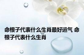 命根子代表什么生肖最好运气 命根子代表什么生肖