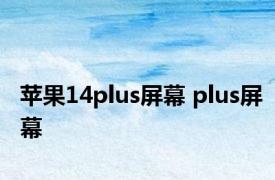 苹果14plus屏幕 plus屏幕 