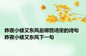 昨夜小楼又东风是哪首诗里的诗句 昨夜小楼又东风下一句