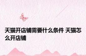 天猫开店铺需要什么条件 天猫怎么开店铺