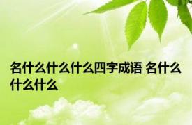 名什么什么什么四字成语 名什么什么什么 