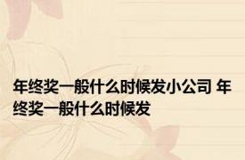 年终奖一般什么时候发小公司 年终奖一般什么时候发