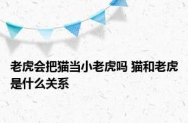 老虎会把猫当小老虎吗 猫和老虎是什么关系