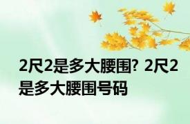2尺2是多大腰围? 2尺2是多大腰围号码