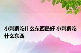 小刺猬吃什么东西最好 小刺猬吃什么东西