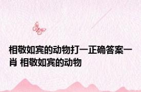 相敬如宾的动物打一正确答案一肖 相敬如宾的动物 