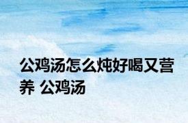 公鸡汤怎么炖好喝又营养 公鸡汤 