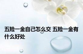 五险一金自己怎么交 五险一金有什么好处 