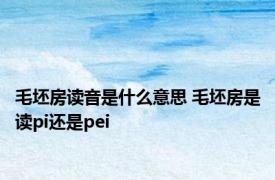 毛坯房读音是什么意思 毛坯房是读pi还是pei 